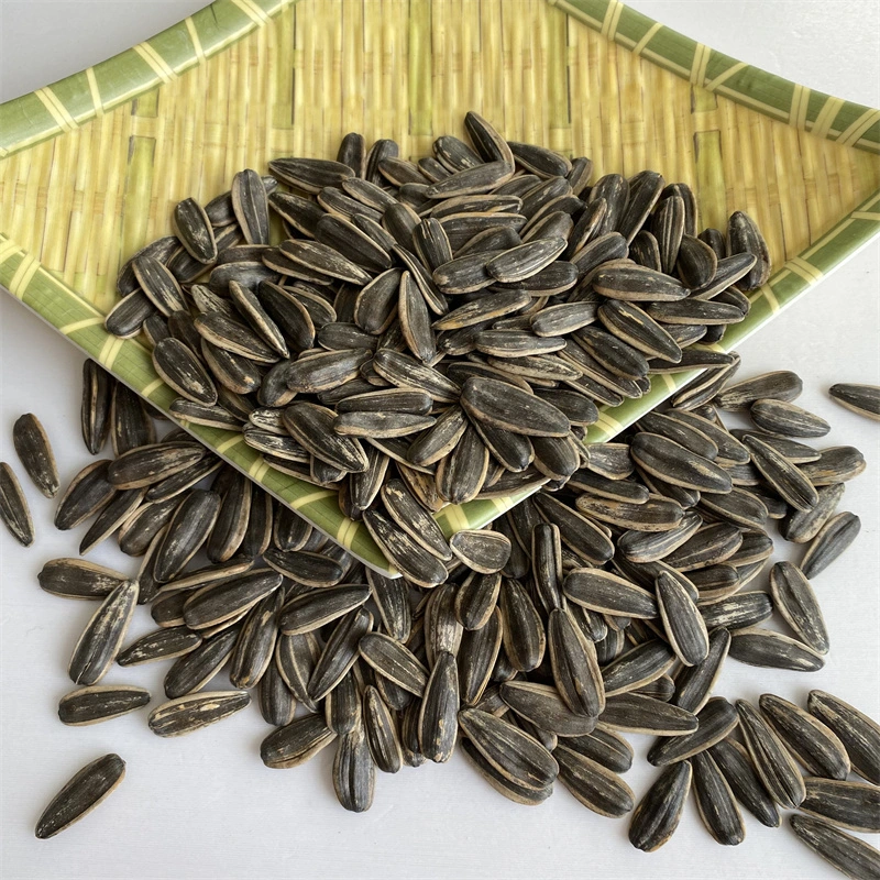 China Kuaci Nuts Factory Process Roasted and Salted Sunflower with Skin Sunflower Seeds