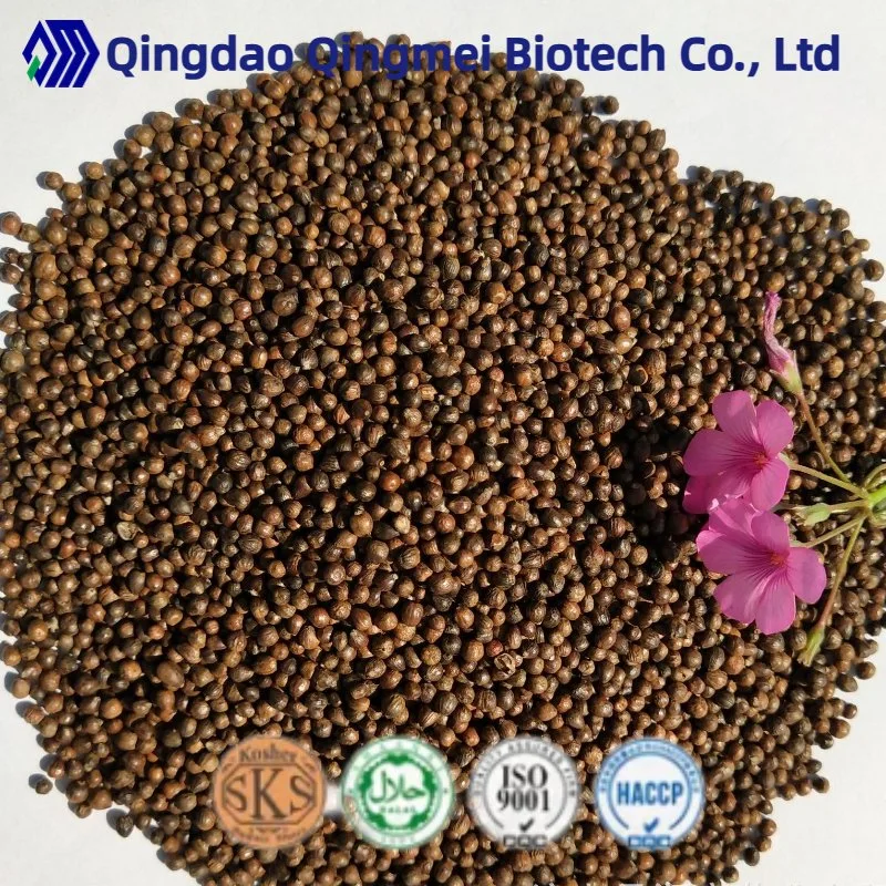 Factory Diret Supply Private Brand Negundo Chastetree Fruit Extract