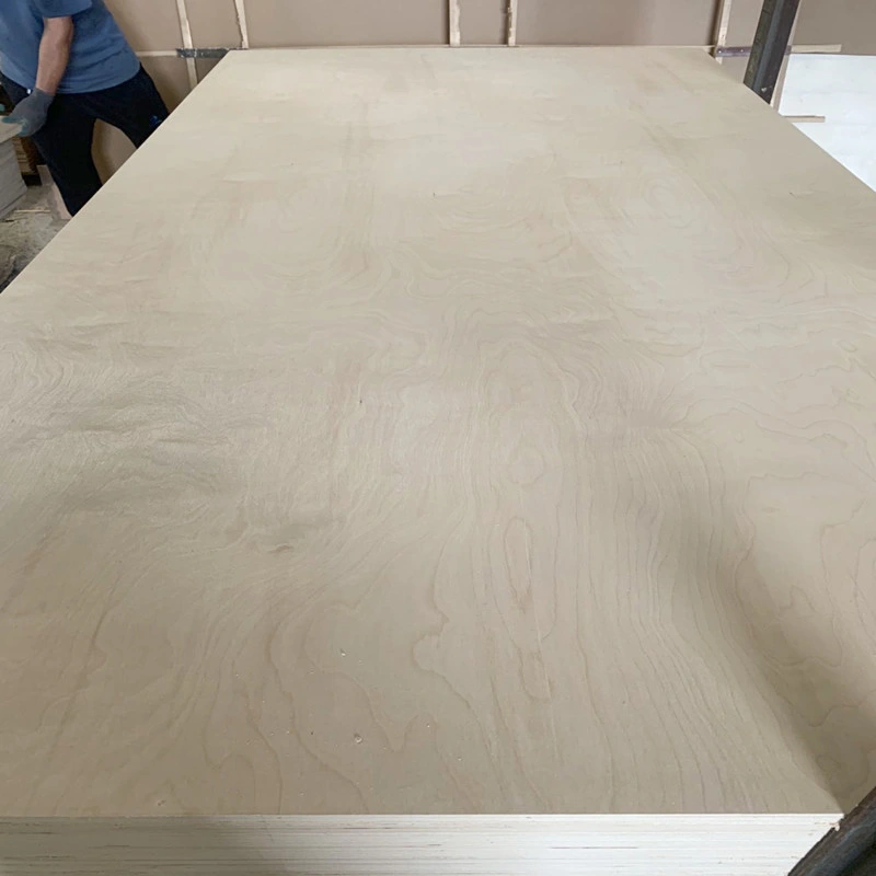 Kabinett Grade 18mm Birke Sperrholz Günstige Melamin Boards Birch Veneer Sperrholz für die Herstellung von Möbeln