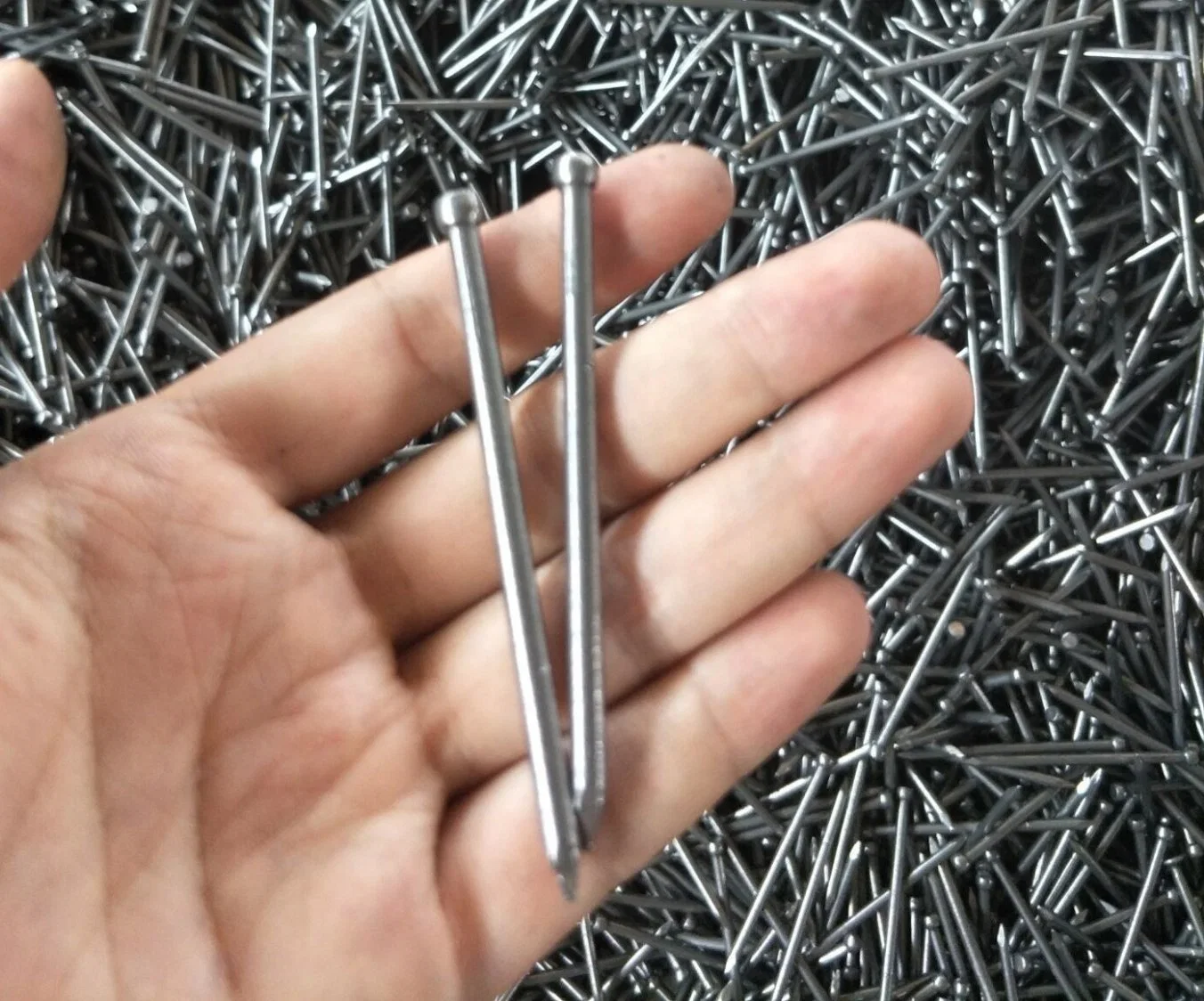 Jolthead Nail / Furniture Nail (Galvanized) Q195