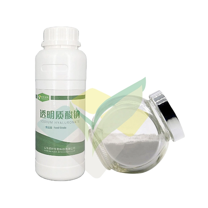 Food Supplements Eye Health Joint Support Pure Hyaluronic Acid Sodium Hyaluronate Powder