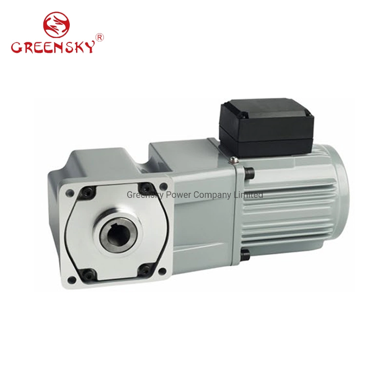 370W 100mm Right Angle Speed Controller Induction AC Motor