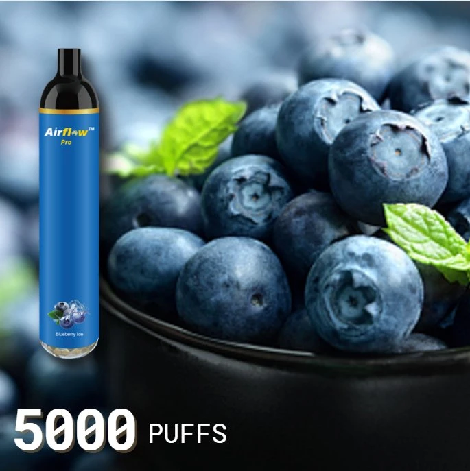 5000 puffs Vape jetable Vape Pen E-cigarette commerce de gros Vape fumeurs Cigarette électronique