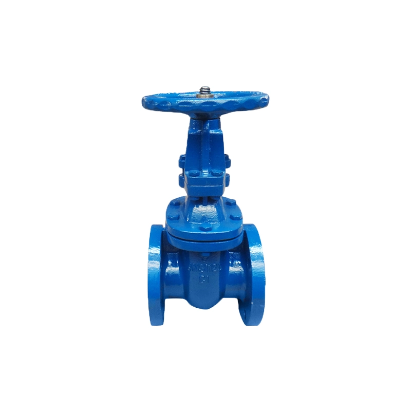 DIN Standard Cast Iron/Ductile Iron Flange Type Gate Valve with ISO Certificate