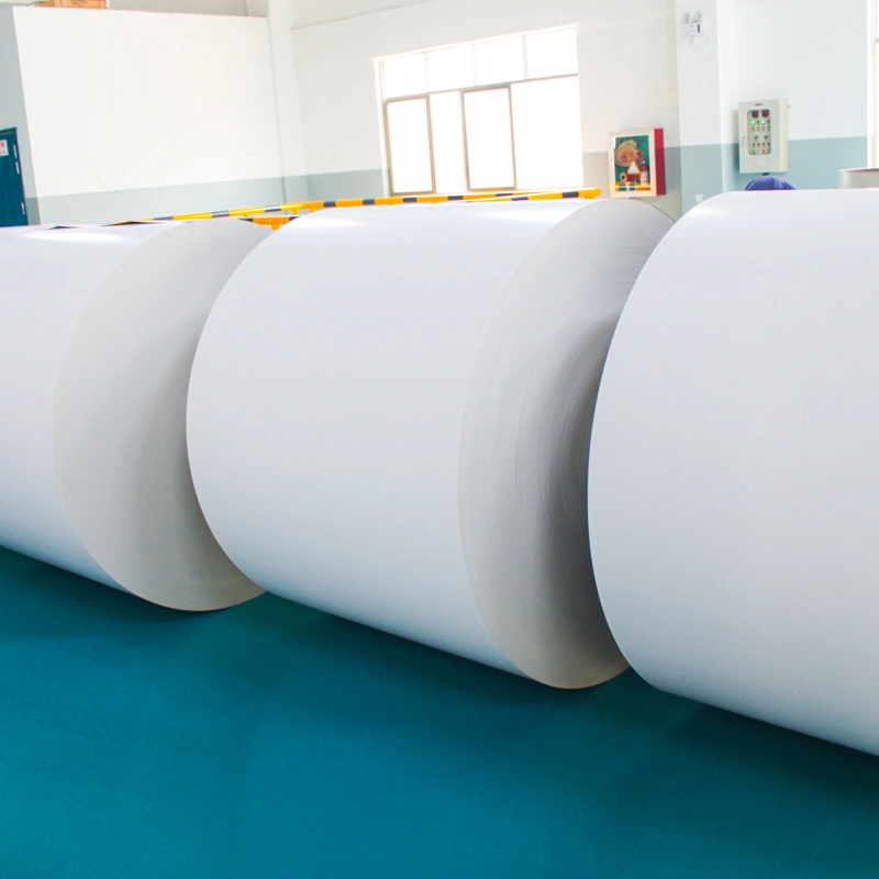 Environmentally Friendly PE Coated Cup Paper Roll for Food Packaging