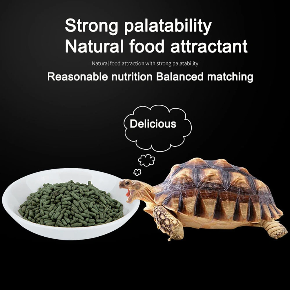 Alimentation de tortue brésilienne Nutrient élevé Pure naturel nourriture de tortue d'animal