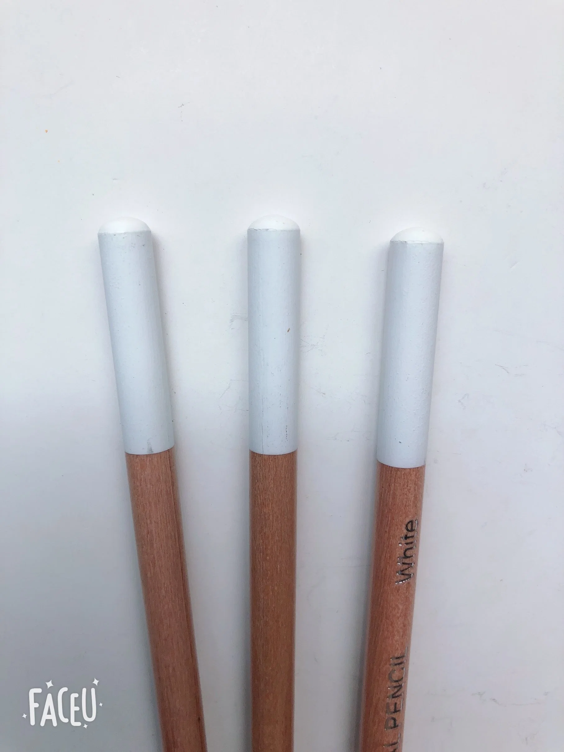 White Artist Non-Toxic Wooden Charcoal Pencil Sketching Crayon Pastel Pencil for Art