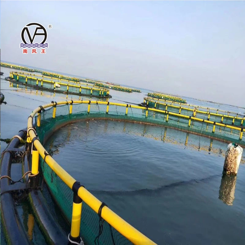 Manufacturer of Simple Circular HDPE Cage Tilapia Breeding Equipment