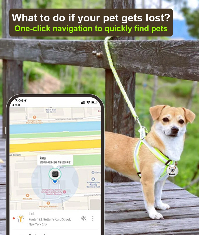 Itag Ios Trouver Mon Localisateur de Clés sans Fil Global Dispositif de Suivi Anti-Perte Intelligent Mini Traceur GPS pour Chat Chien Animal Domestique