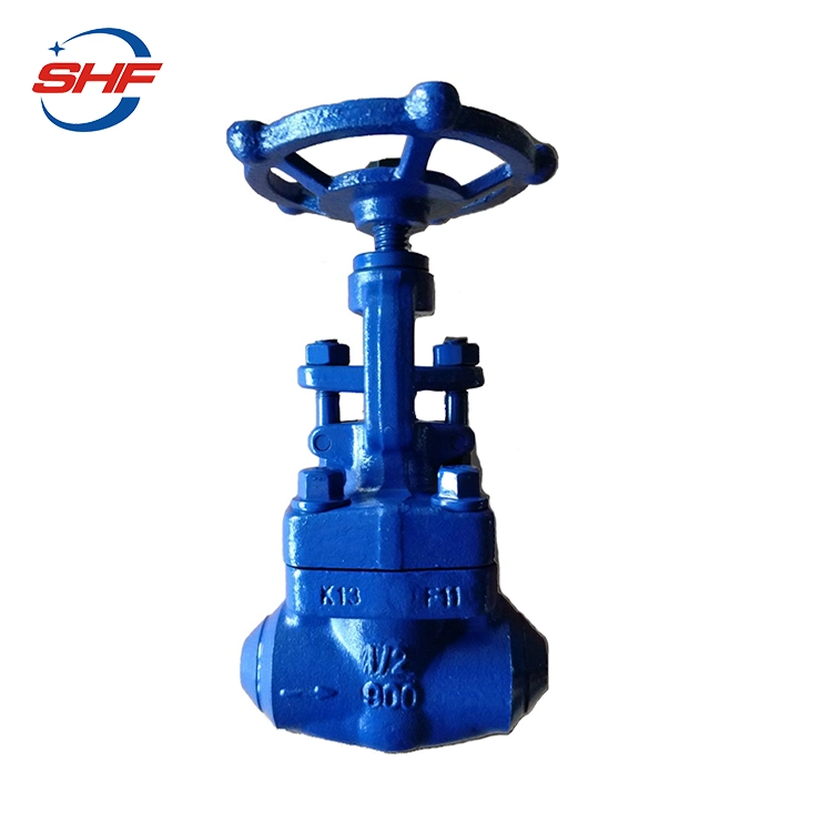 API 602 Standard Sw End Connection Forged Steel Globe Valve