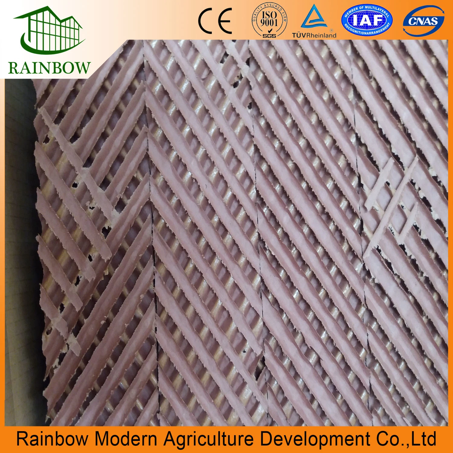 China Modern Greenhouse Cooling Pad System