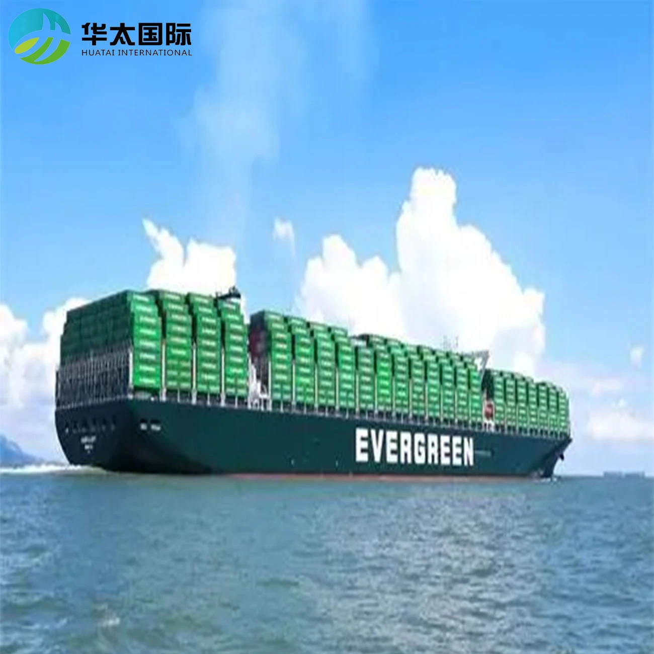 Sea Freight From Shenzhen to Canada International Logistcs DDU/DDP Services