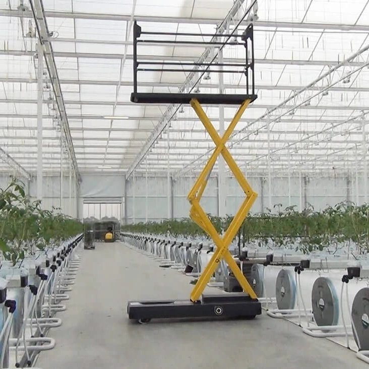 Styles of Greenhouse Specialized Scissor Color/Trolley