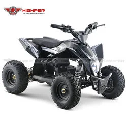 Mini quad électrique ATV 4 roues pour enfants Quad Bike 1000W36V/1300W 48V