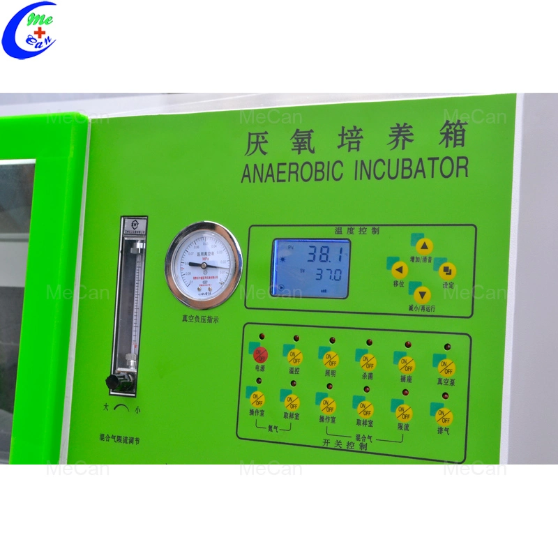 Med-L-Yqx-T anaerob Inkubator Labor Inkubator