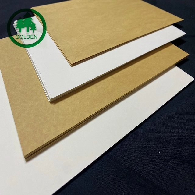 Cupstock PE Coated Paper Roll Cardboard Paper Roll for Paper Cups Manufacture