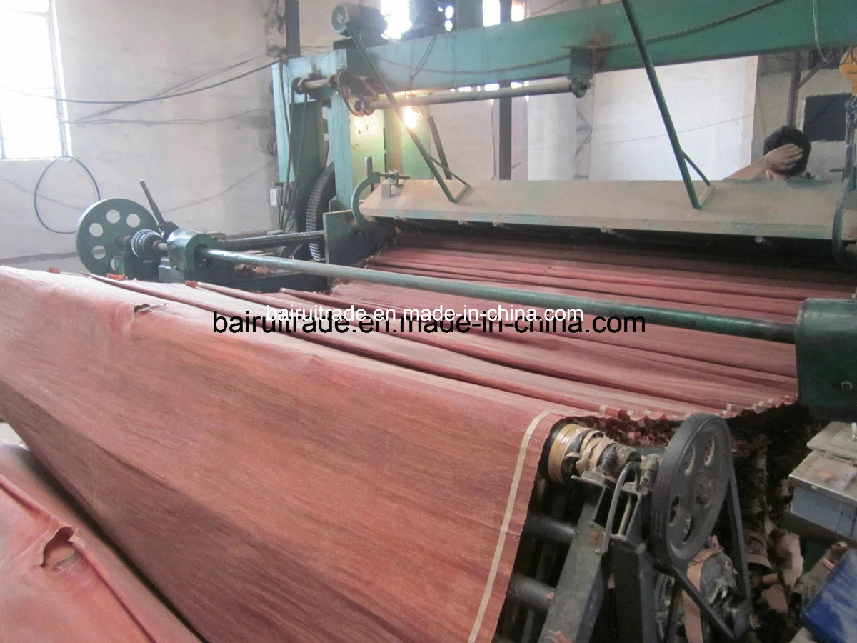 0.3mm Rotary Cut Red Wood Veneer for Plywood