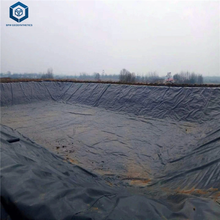 Bpm Geosynthetics HDPE Geomembrane and Geotextile for Oxidation Pond Project in Italy