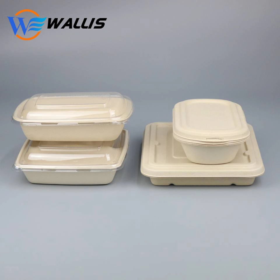 Disposable Plastic Takeaway Meal Tray Biodegrade PLA Lunch Box