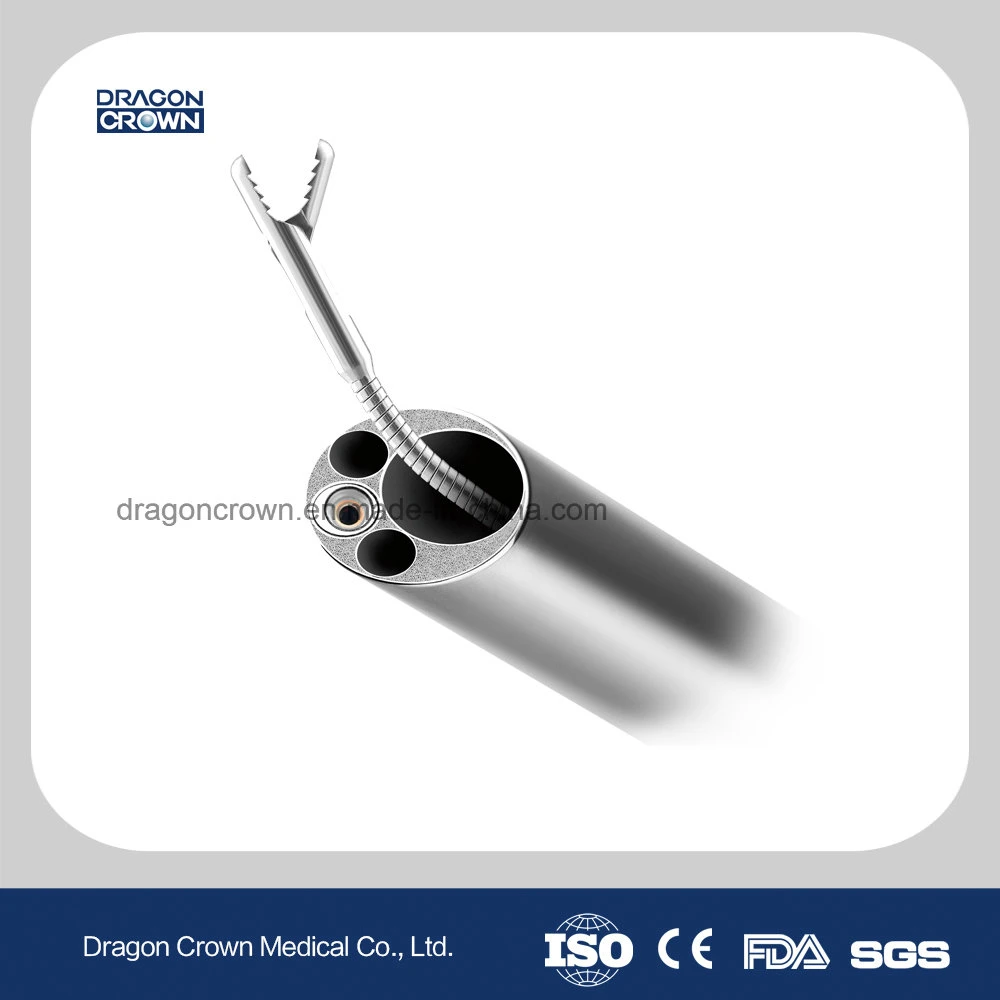 Dragon Crown Medical Instruments Percutaneous Electrodes Lumbar Discectomy Surgical Instruments

In French: Instruments chirurgicaux Dragon Crown pour discectomie lombaire avec électrodes percutanées