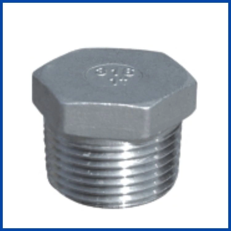 Stainless Steel Casting Pipe Fitting Square/Hex Head Plug