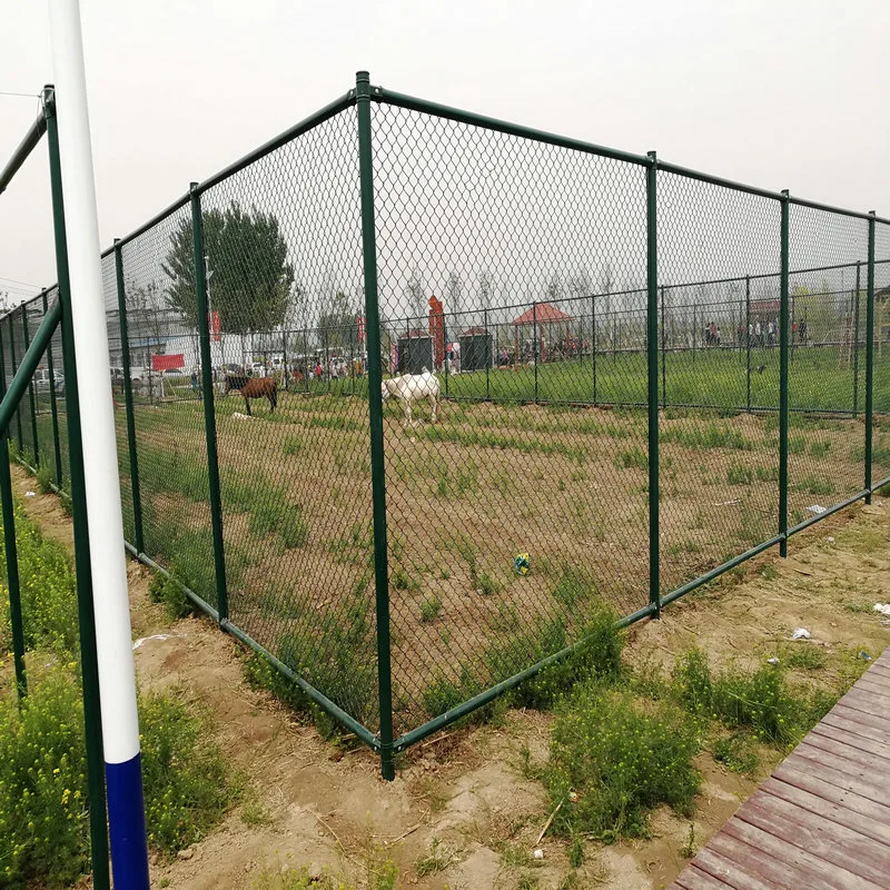 PVC Coated Chain Link Fence Hot-DIP Galvanized Hexagonal Wire Netting