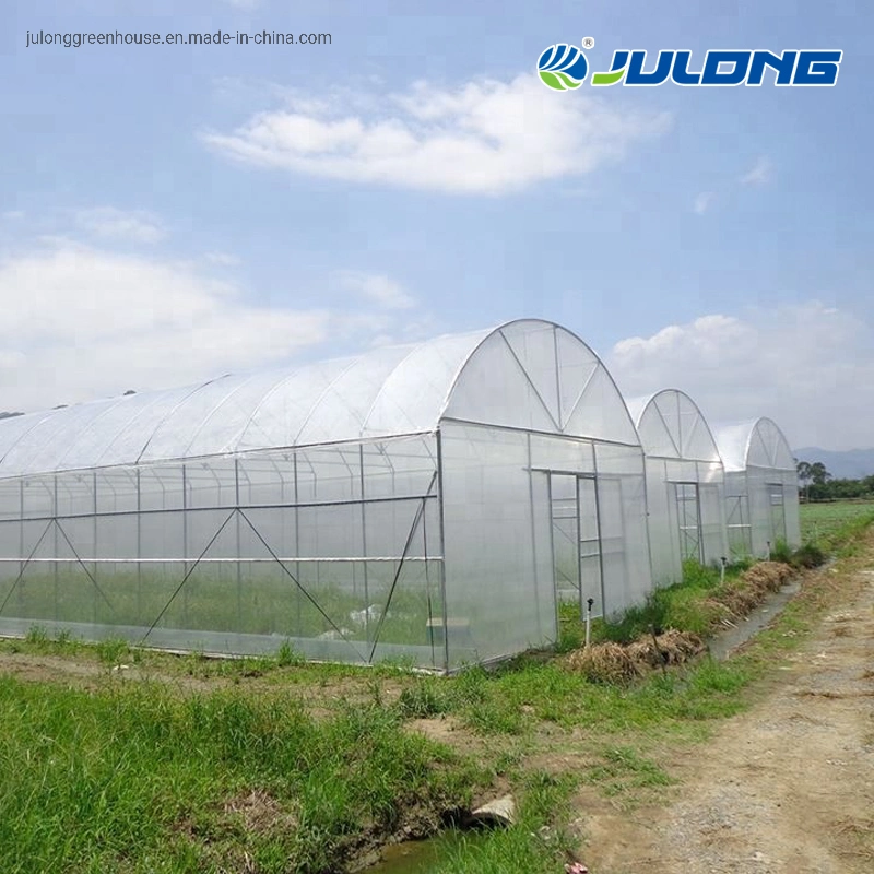 Agricultural Tunnel Single Span Plastic Film Greenhouse with Hydroponics System for Vegetabales and Flowers Planting