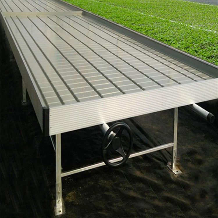 Rolling Bench for Vegetables Ebb and Flow Tray Seeding Seedbed Greenhouse