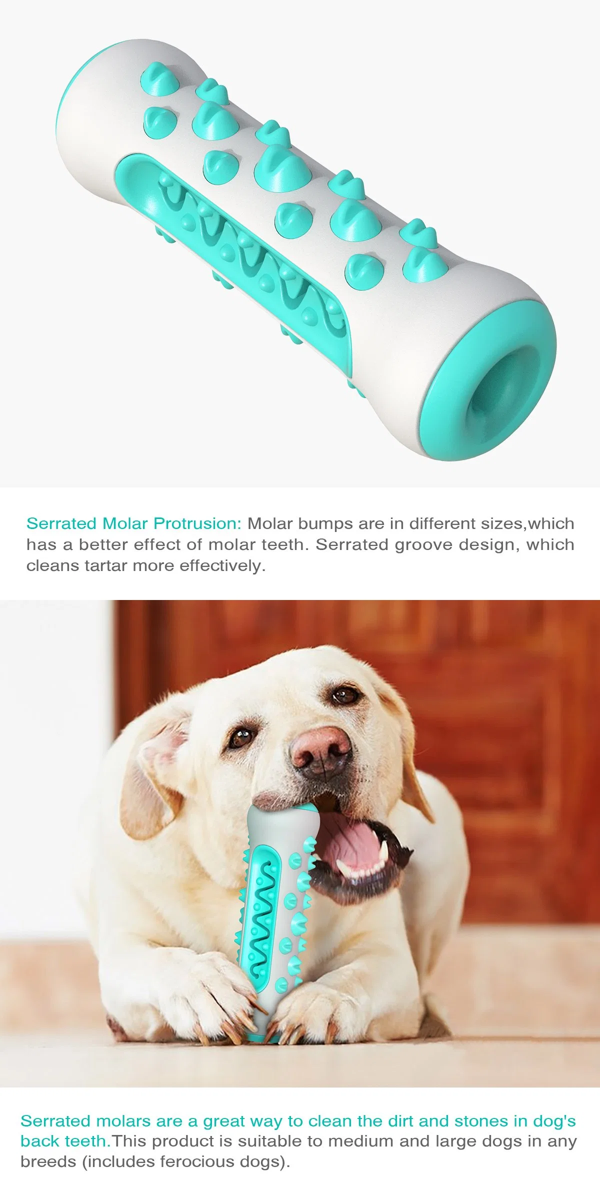 Pet Toys Dog Bone Molar Chew Toys Promotion Gift