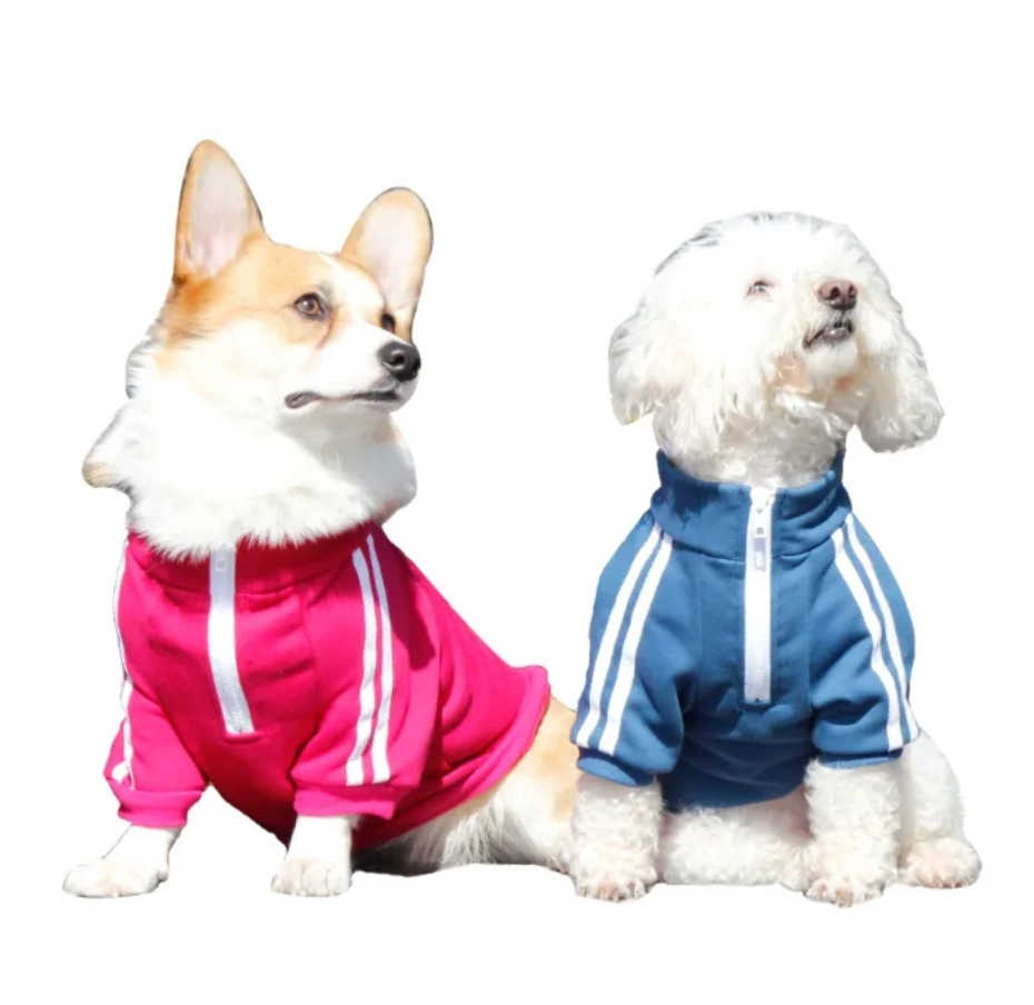 Ropa Retro Perro ropa Deporte ropa Corgi Teddy moda Chaqueta