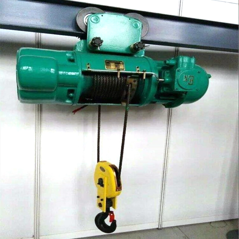 Dy High quality/High cost performance 1t 2t 3t 4t 5t 6t 10t Wire Rope Hoist Electric with Hook