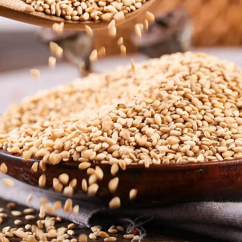 Natural Good Taste White Sesame Price Roasted Wholesale Sesame Seeds