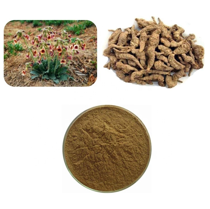 High quality/High cost performance  Rehmannia Glutinosa PE 5: 1 Prepared Rehmannia Root Extract