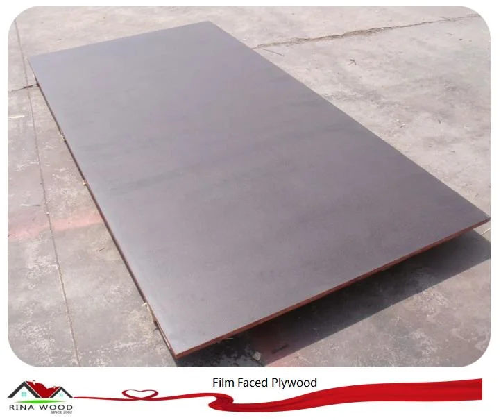 Black Film Poplar Core Marine Plywood to Dubai Market