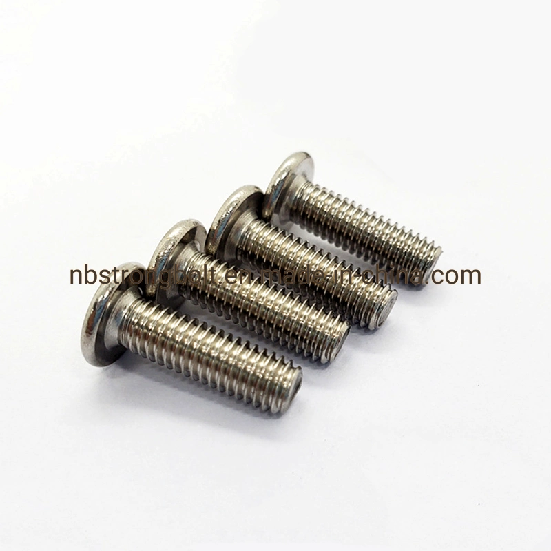 304 /316 Stainless Steel Screws Flat Head Hex Socket Screws M3m4m5m6m8 Furniture Bolt Fittings in-Stock Factory