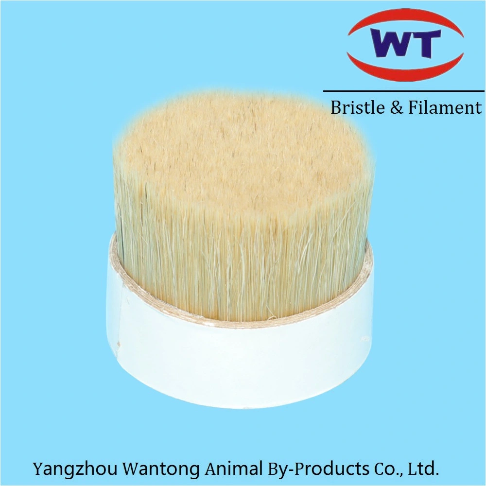 Chongqing Natual Black Boiled Bristle Pig Hair Paint Brush Filament Manufacturer