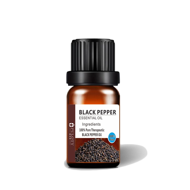 Factory Supply 100% Pure Black Pepper Oil for Skin and Hair Growth