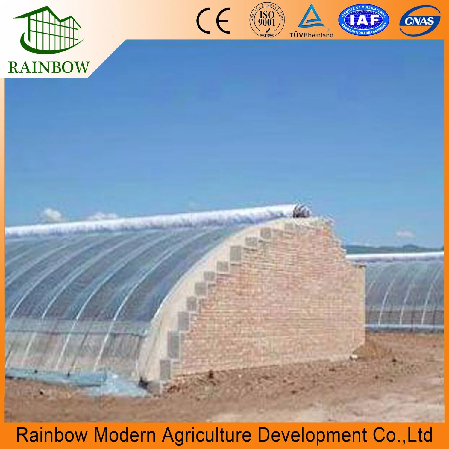 Low Cost Commercial Greenhouse for Vegetables