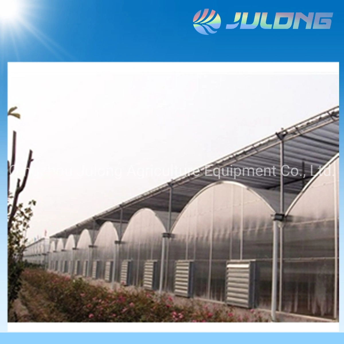 Bulk Price Plastic Film Greenhouse Flower House on Sale