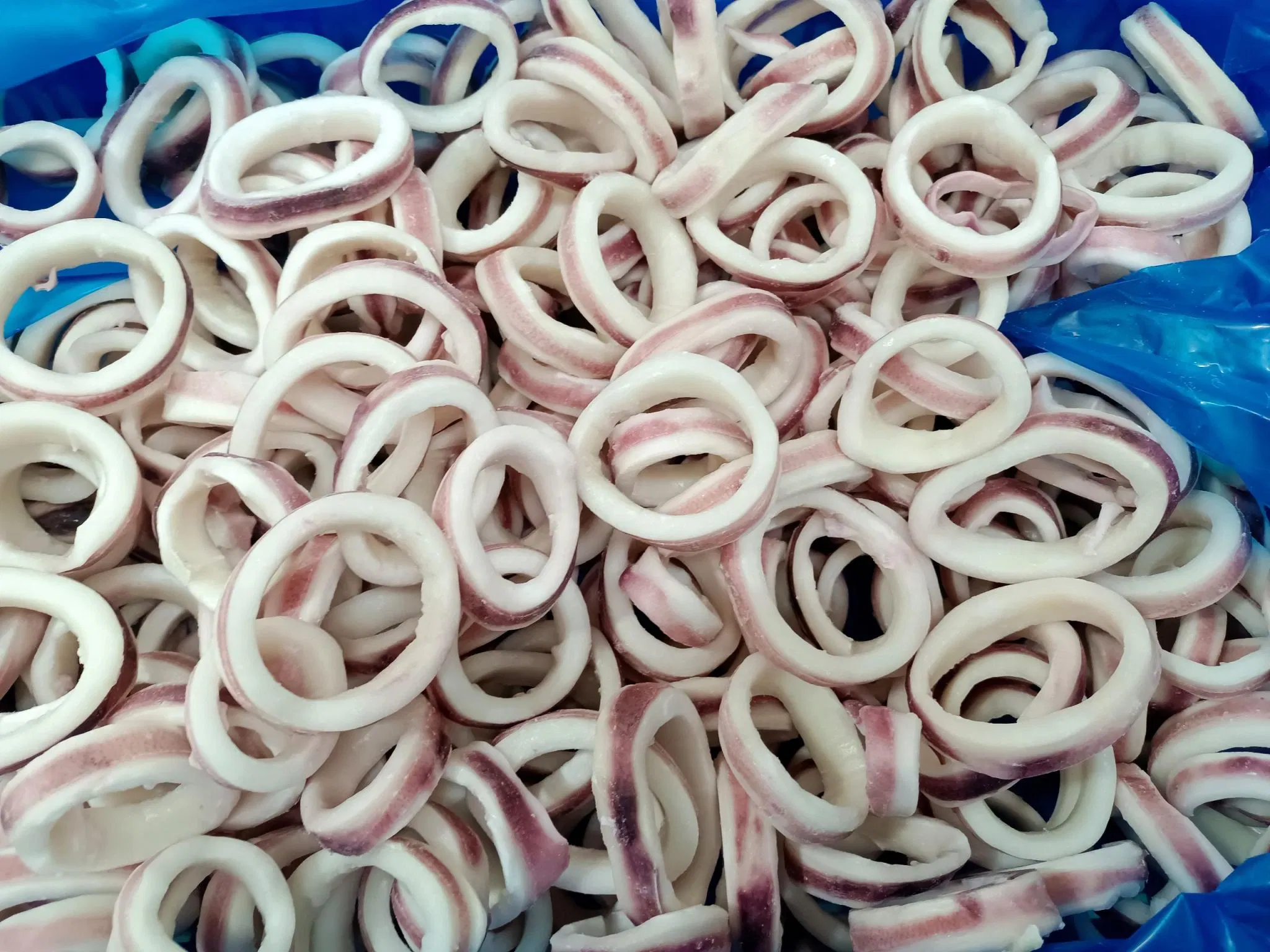 Frozen Seafood Wholesale Customized Indian Squid Ring with Skin on 3-7cm