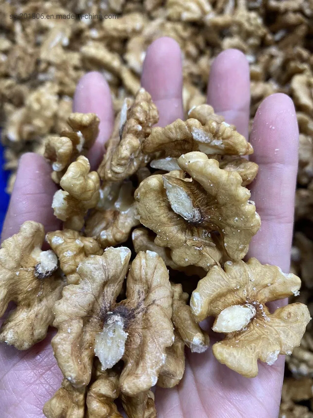 إمداد عامل الكernel الكernels عامل الفواكه العضوية بالجملة Kernel/Meat Walnut Kernels إزالة الغلاف