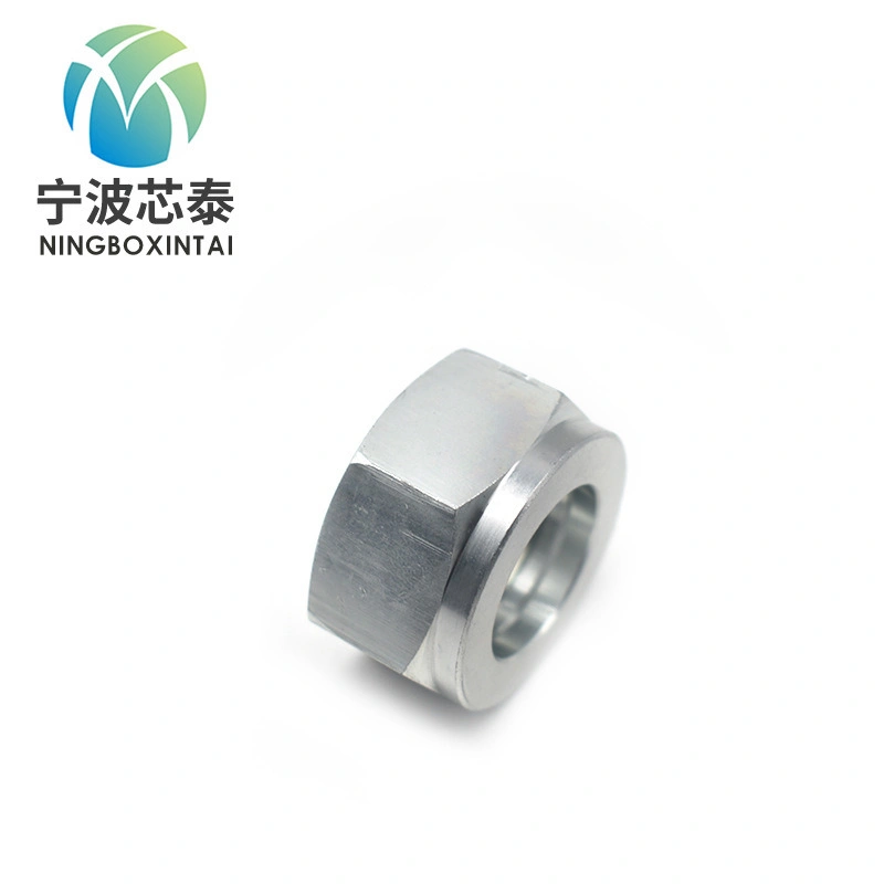 Carbon Steel Through Hole Withstand Voltage Head Full-Hex Rivet Nut