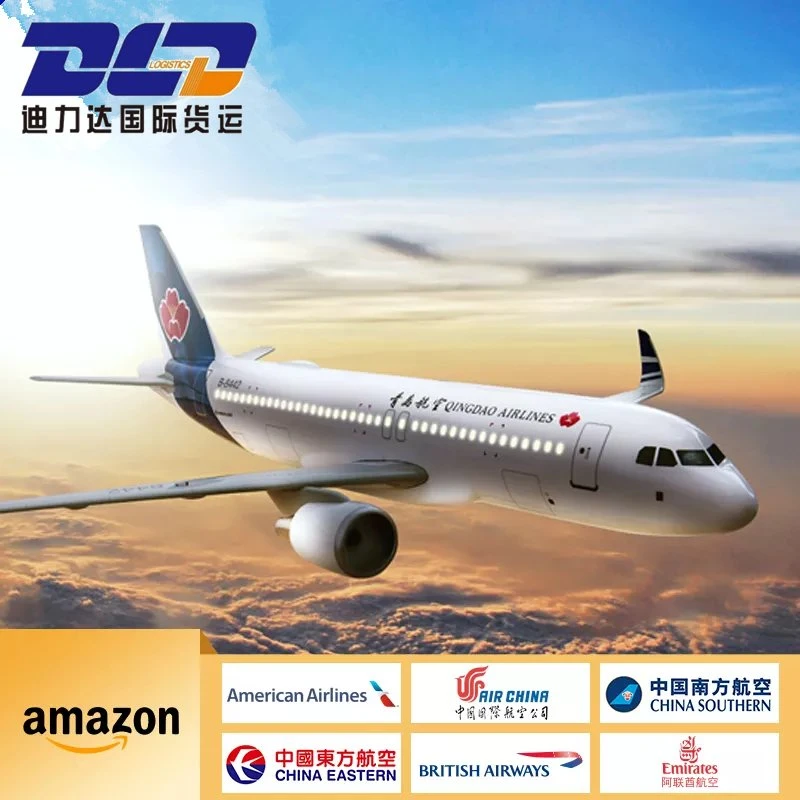 Air Freight / From Shenzhen to Malaysia/to The Airpor