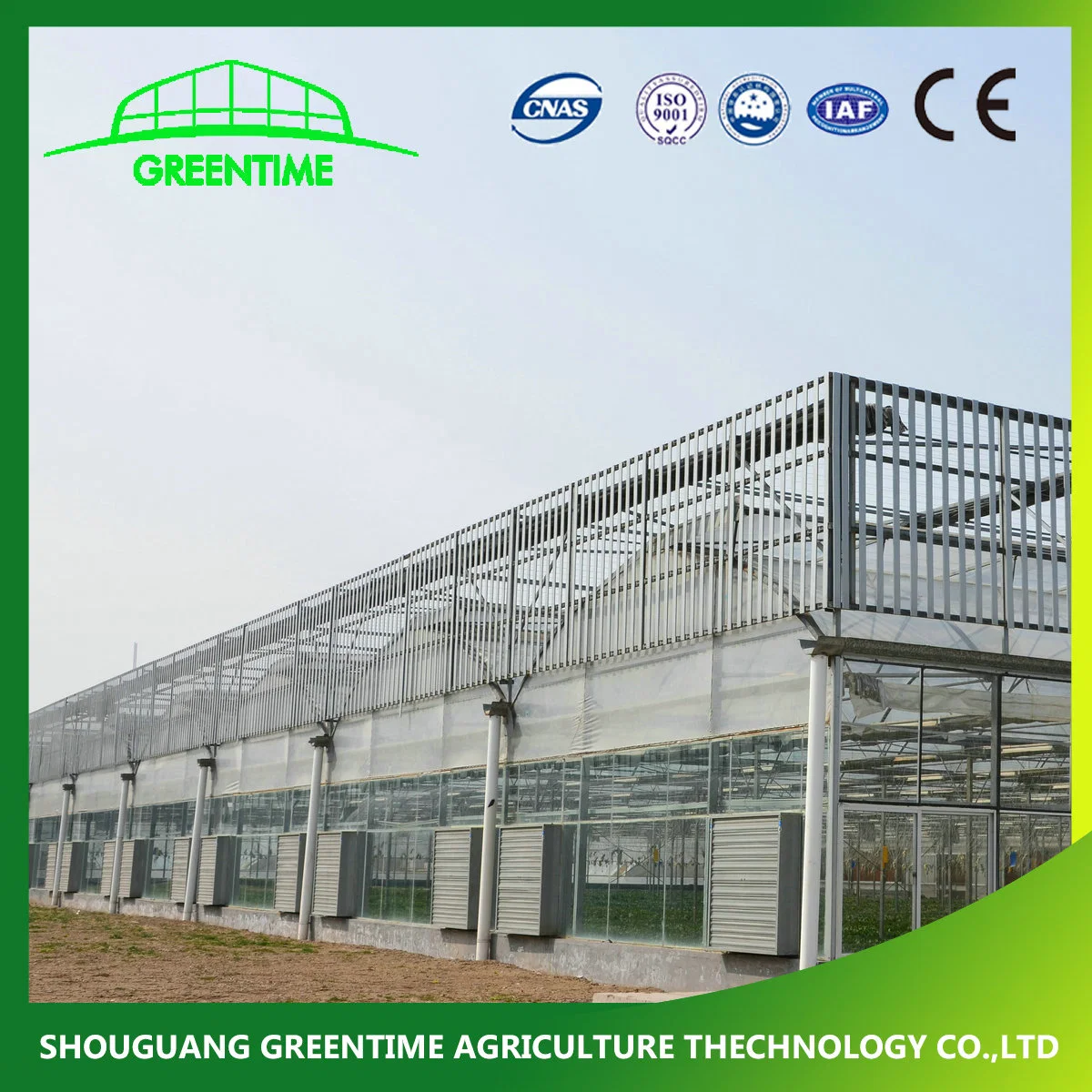 Galvanized Steel Structure Glass Greenhouse with Complete Automatic Control System for Hydroponics/Strawberry/Vegetables/Flowers/Tomato/Cucumber