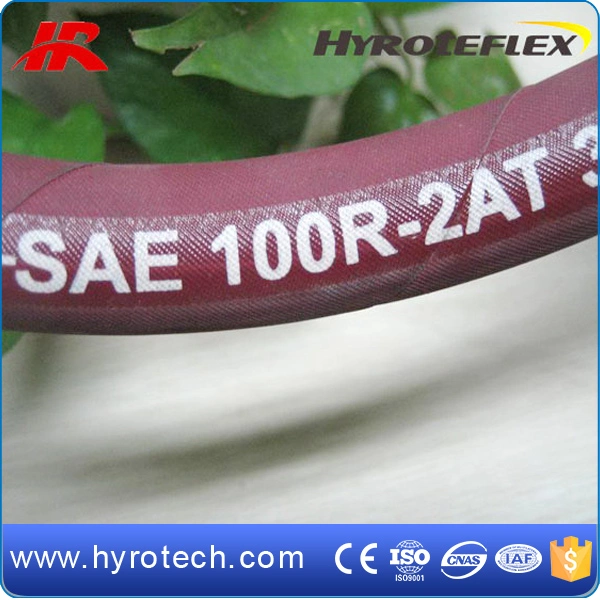 Two Wire Braids Reinforcement SAE 100r2at