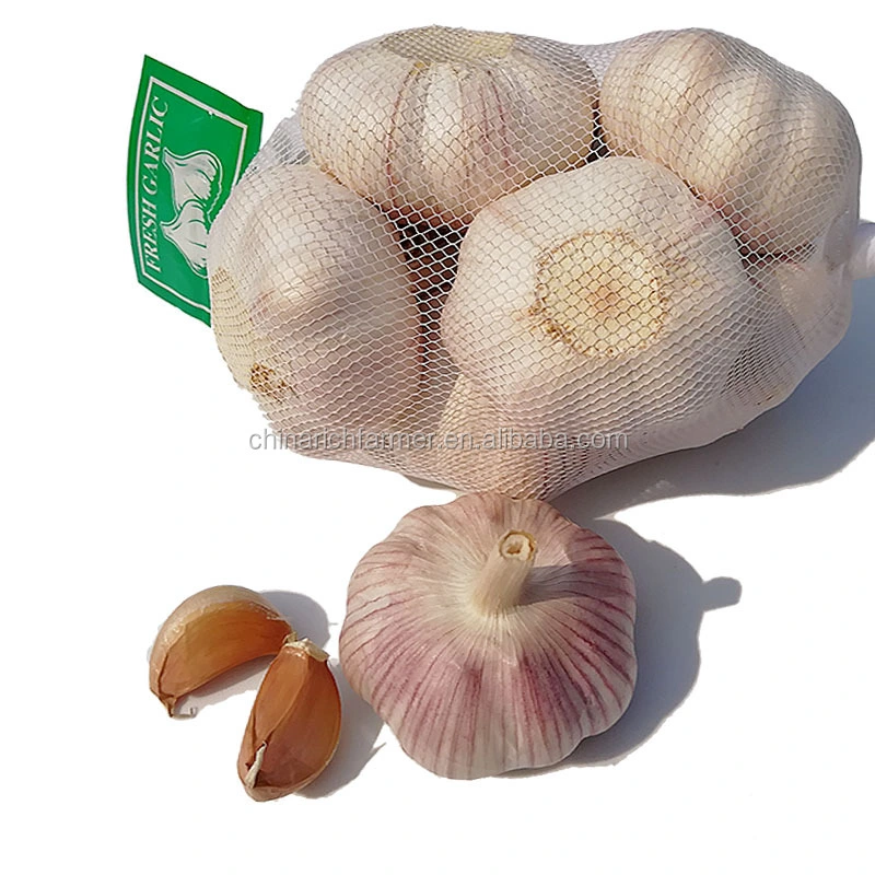 Cheapest China Fresh 3p Pure Normal White Dried Garlic