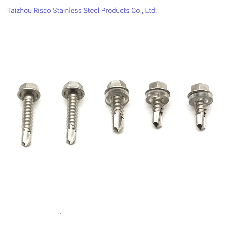 DIN7504/7981/7997/912 Stainless Steel A2-70 A4-70/80 Self Self Driling/Tapping/Machine/ Wood/Chipboard/Roofing Screws