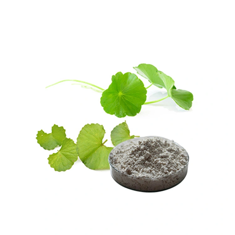 Natural Plant Gotu Kola Herb Total 10%-90% Asiaticosides Centella Asiatica Extract