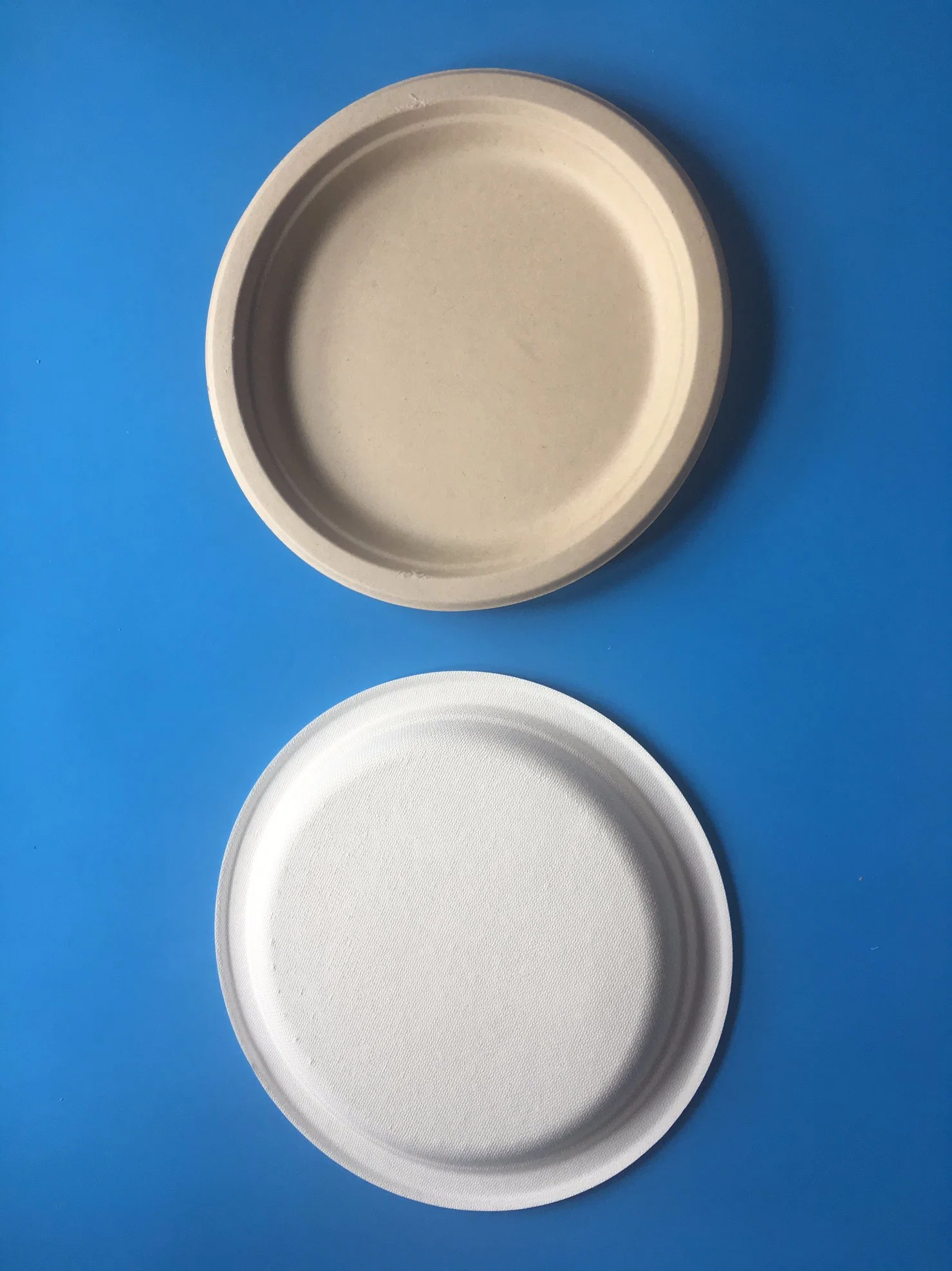 Disposable Biodegradable Bagasse Pulp Paper Food Packaging Plate 5 Cells Manufactury Sell