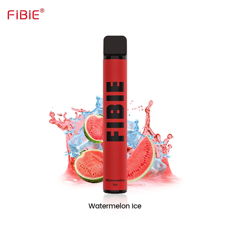 Wholesale/Supplier Electronic Cigarette Custom Vaporizer Pen Einweg E Zigarette 600 800 Puffs for Europe Market Blakk Smoke Hookah Pen E Shisha Aroma King Vape